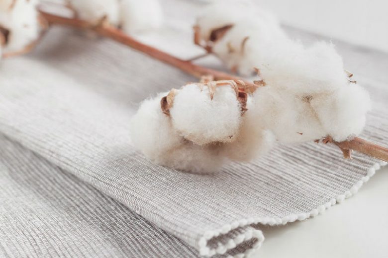 How Eco-Friendly is Cotton